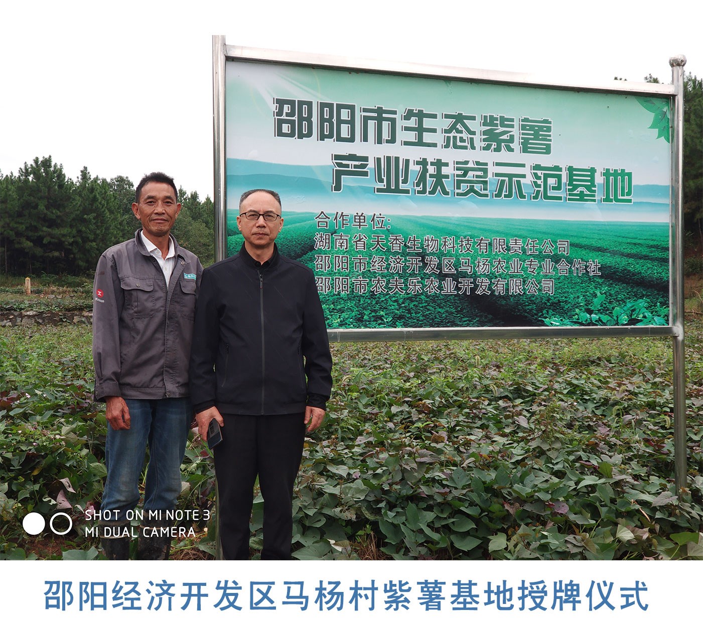 產(chǎn)業(yè)帶動(dòng)