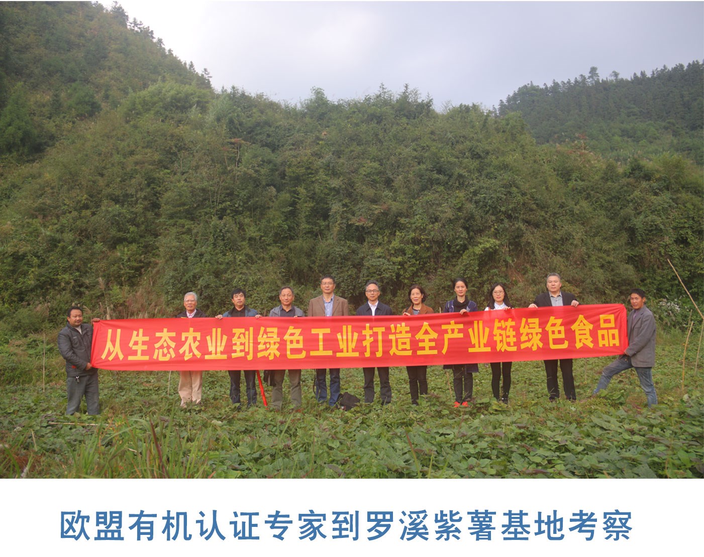 產(chǎn)業(yè)帶動(dòng)