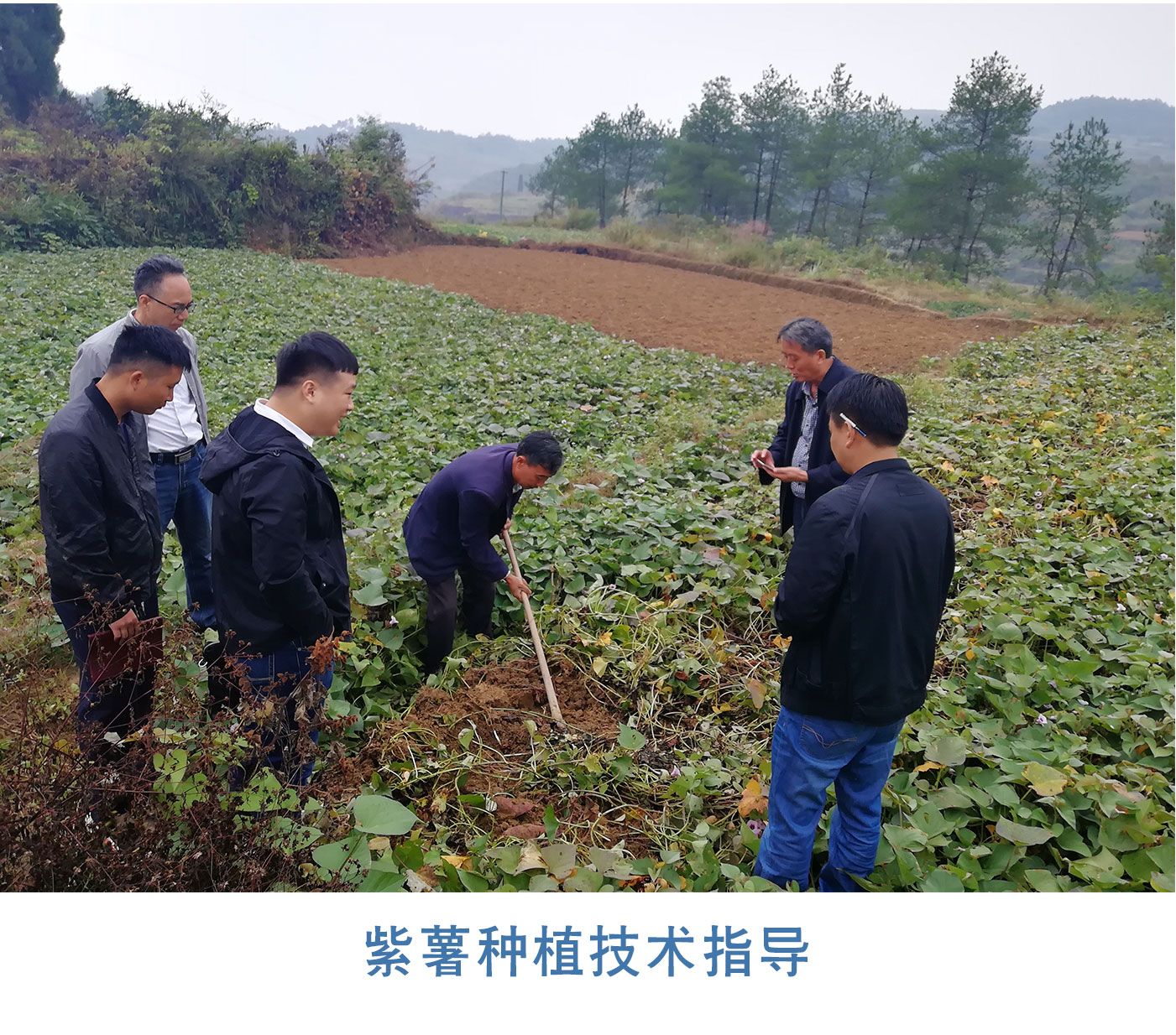 產(chǎn)業(yè)帶動(dòng)