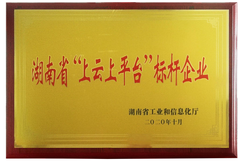 湖南省“上云上平臺”標(biāo)桿企業(yè)