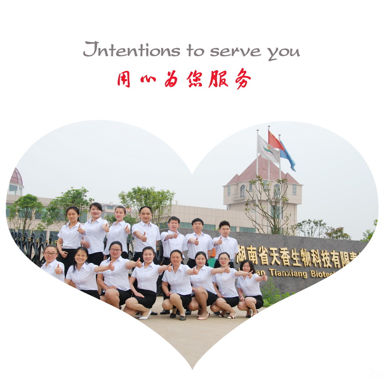 團隊照片.jpg 團隊照片.jpg