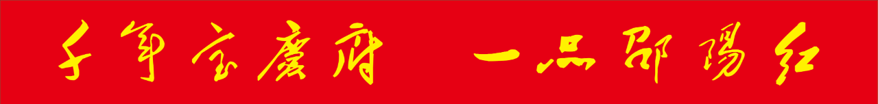 邵陽紅出貨倉參加“第三屆中非經(jīng)貿(mào)博覽會”并與非洲貝寧代表團(tuán)交流合作