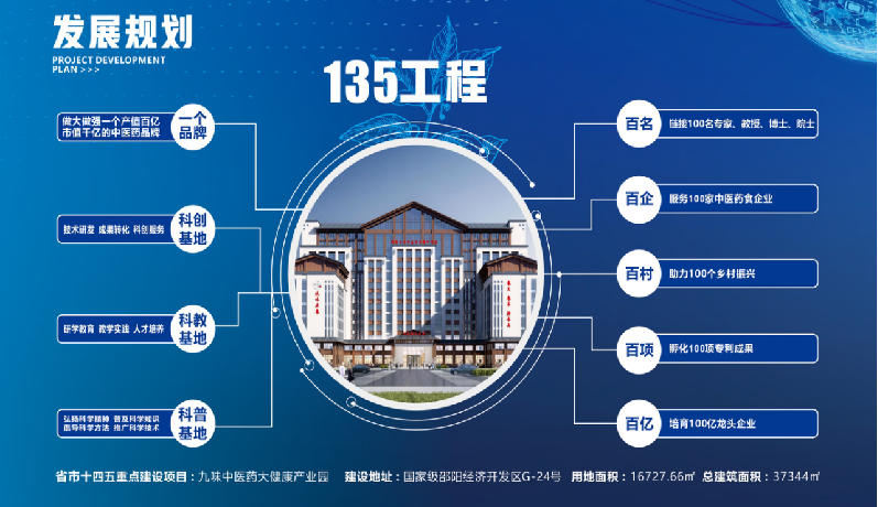 種下梧桐樹，引得鳳凰來